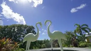 St. Kitts Rainforest Adventure, Basseterre, St. Kitts