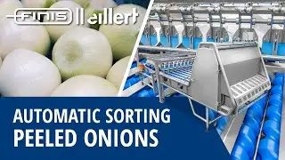 See How This Machine Automatically Sorts Peeled Onions With Vision Technology - Finis || Eillert