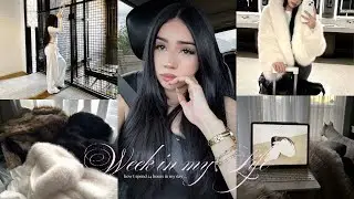 Days in my life VLOG: colorado trip, thrifting, meetings + more 