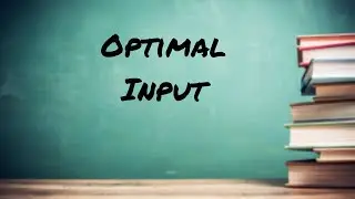 Invitation to SL: Class 3 - Optimal Input
