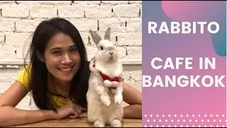 Rabbit Cafe in Bangkok - BTS Udomsuk Bangkok | Thailand with Chalida