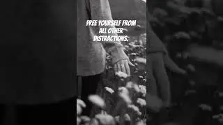 🧿Free Yourself From All Other Distractions #vira #ytshorts #quotes #quotesforliving89 #youtubeshorts