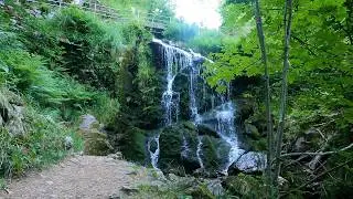 Waterfall Walk Near Feldberg | The Magic of Fahler Wasserfall