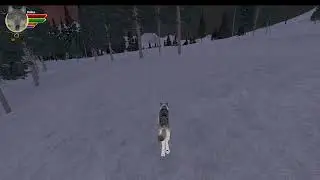 Wolfquest collab with @SofieplusChan