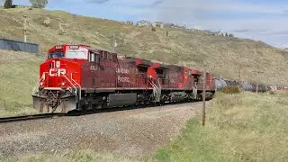 Union Pacific converted AC4400CW! CP 8208, CP 9633, CP 8714 and UP 6899 lead CP 401 west at Cochrane