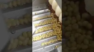 Soybean Peeling Machine