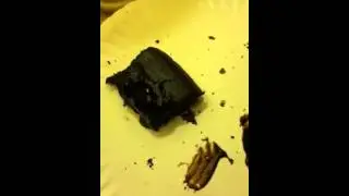Magical brownie