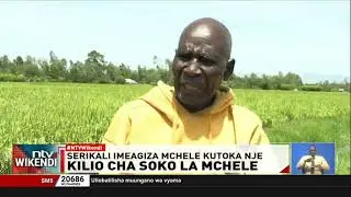 Wakulima wa mpunga walalamika serikali kuagiza mchele kutoka nje