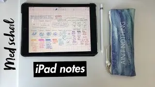 Ipad and Apple Pencil | How I Take Notes In Med School