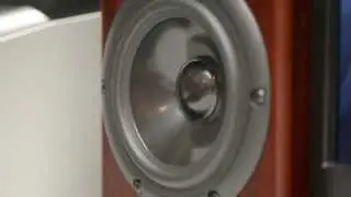 Totem Acoustics Rainmaker