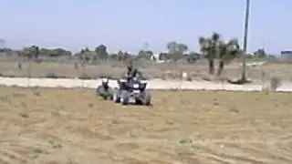 dirt bording phelan style