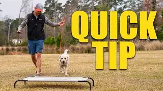 A snappy heeling and 