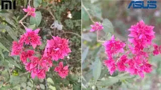 Redmi Note 7 Pro vs Asus zenfone Max Pro M1 camera test comparison ⚡⚡⚡
