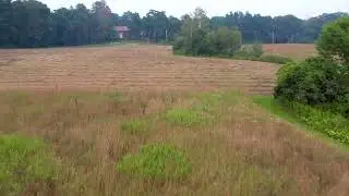 Meadow Field Grass Video Footage #entertainment #peace #peaceful #nature