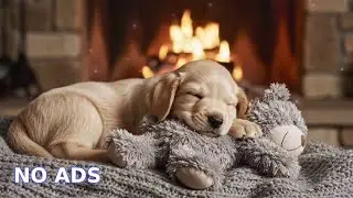 🔴 Gentle Healing Sleep: Soft Fireplace Ambience & Puppy Music with Teddy Bear calm 🧸✨