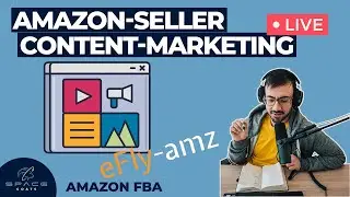 Content Marketing f&uuml;r Amazon-Seller | SPACEGOATS und e-Fly