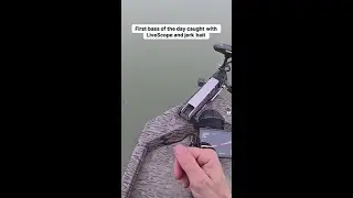 Epic Bass Fishing Adventure: Watch the First Catch Unfold!