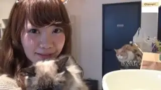 ［necogirl］にゃるぽー原夢咲