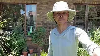 Outdoor Gardening | Trimming & Cleaning Up My Herb Garden