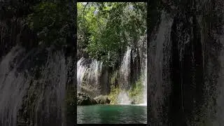 AmazingNature#shorts