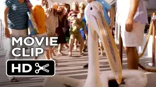 Dolphin Tale 2 Movie CLIP - Introducing Rufus (2014) - Morgan Freeman Dolphin Drama HD