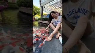 Я боюсь отдать им свои ноги 🤪 #ноги #fypシ #короткоевидео #рыба