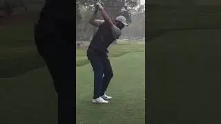 Scottie Scheffler At The 2024 RBC Heritage