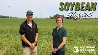Soybean Shoptalk - Natto Specialty Soybean Management | Michigan Soybean
