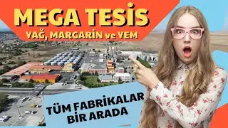 MEGA TESİS: YAĞ, MARGARİN VE YEM | Mega Factory: SunflowerOil,Margarine and AnimalFeed All in 1