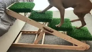 NTR Wooden Dog Stairs Steps, Adjustable Pet Stairs Ramp, Great adjustable step ladder support for pe
