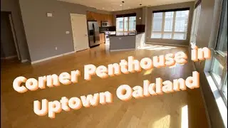 1511 Jefferson St - Penthouse 7
