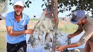 اسهل طريقه لصيد السمك بالغزل رزق ربنا كتيرررر