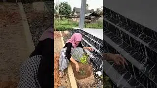 Masak mie kuah + bakso simpel 