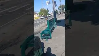 Walking through South Central Los Angeles 01/30/26 (Mary Jane & Miss Dinky)