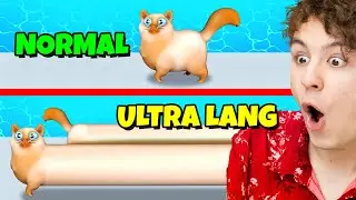 So sieht die LÄNGSTE KATZE der WELT aus?! - Animal Run