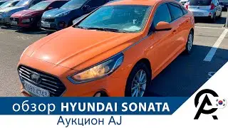 Hyundai Sonata NEW RISE 2017, 2.0 lpi, за 8200$. Обзор на аукционе AJ.