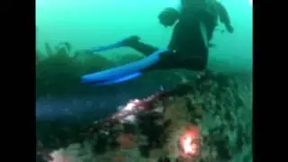 Yukon Dive