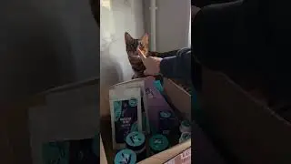 Потрясающая новинка на рынке от меня компании Pro Health Factor🔥  Здоровье родом из Сибири💪🏻✨
