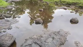 Khandwa forest area