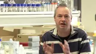 Thank you from the European Cancer Stem Cell Research Institute