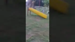 Mi 🇵🇦