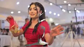 حفلة زفاف شاكر و داليا الفنان زيدان شنكالي تصوير امل فيديو 3
