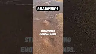 Intimate Bonds through Effective Communication.#short #shorts #fact #facts