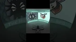 #hollowknight animation
