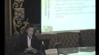 Presentaci&oacute;n de la Futura Estrategia sobre Movilidad Sostenible. Maj-Britt Larka. COIIM 2009