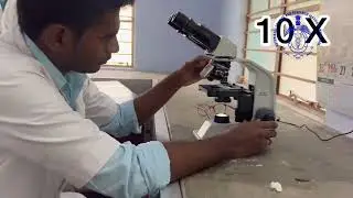 Rumen Liquor collection and Enumeration of Protozoa #rumenprotozoa #vcrinamakkal #physiology