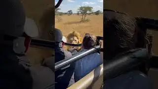 Salvos Pelo o Extintor de Inc&ecirc;ndio/Saved by the Fire Extinguisher/अग्निशामक यंत्र से बचाए गए/#viral