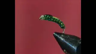 Mouche magique : la nymphe tressée