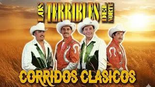 Los Terribles Del Norte – Grandes Éxitos Norteños 🤠 20 Clásicos