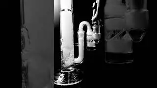 Sovereignty Pawn with Worm x Terroir Glass V3 Drycatcher